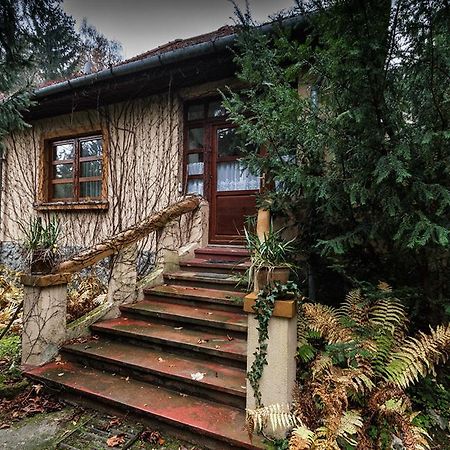 Boroka Apartmanhazak - Oereghaz Velem Oda fotoğraf