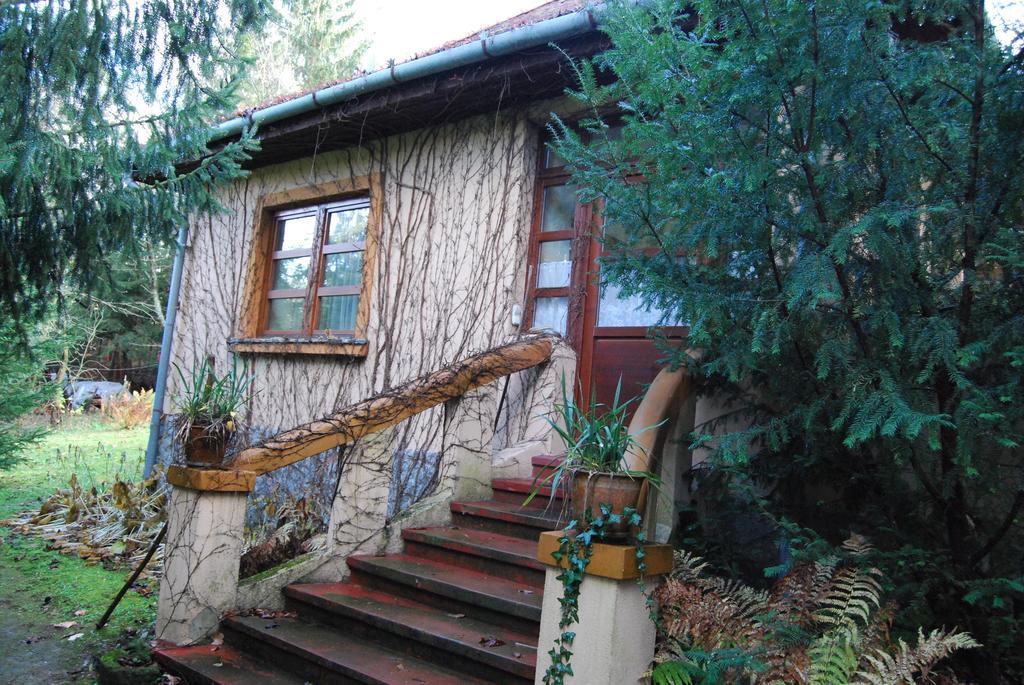 Boroka Apartmanhazak - Oereghaz Velem Oda fotoğraf