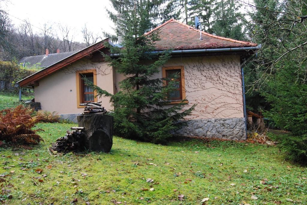 Boroka Apartmanhazak - Oereghaz Velem Oda fotoğraf