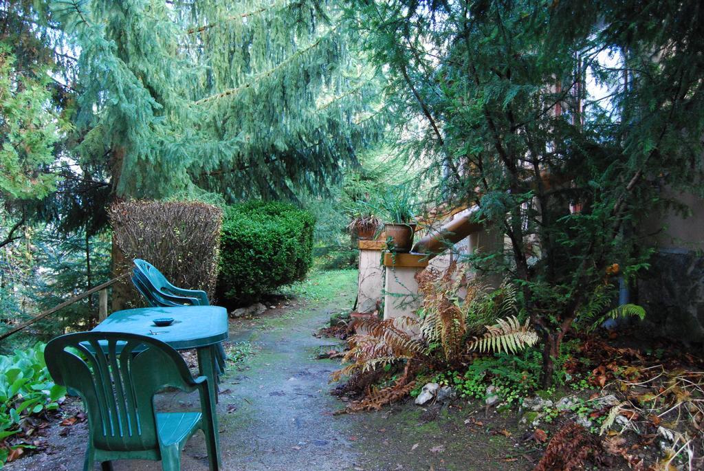 Boroka Apartmanhazak - Oereghaz Velem Oda fotoğraf
