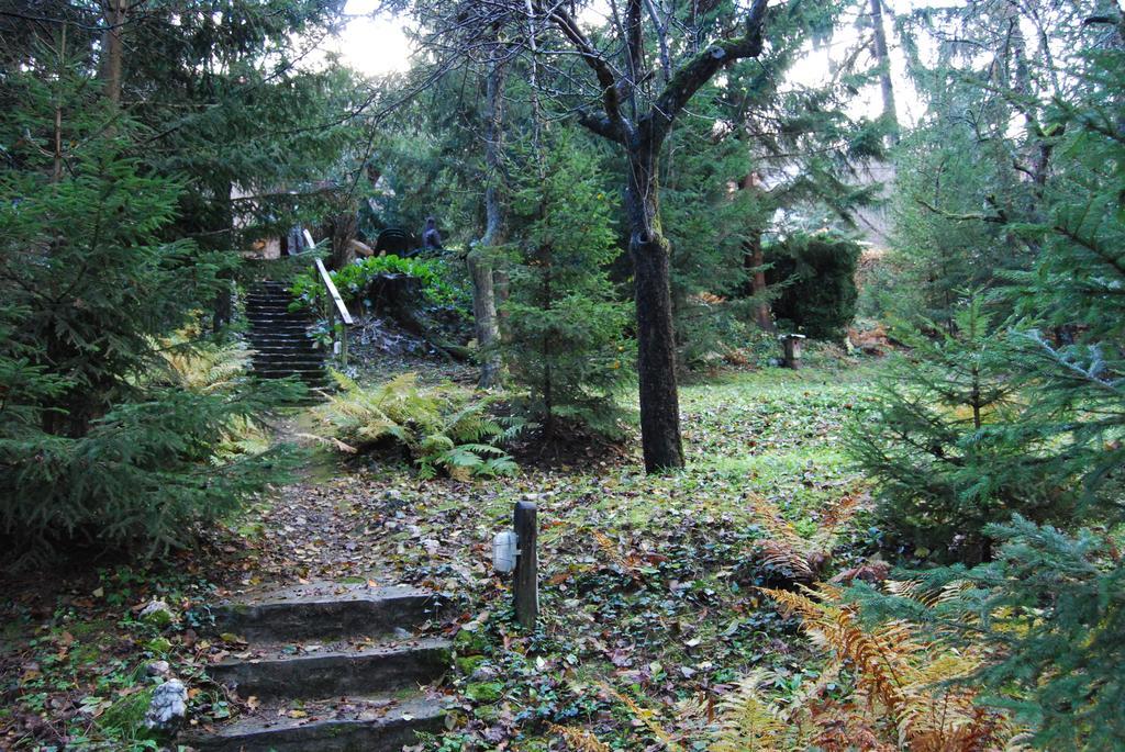 Boroka Apartmanhazak - Oereghaz Velem Oda fotoğraf